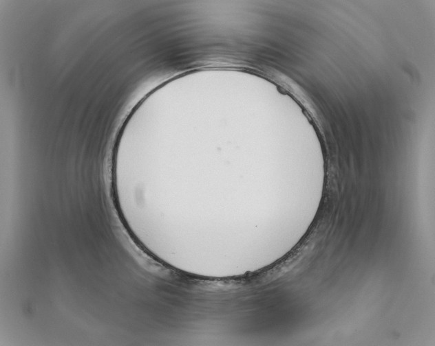 X0000111381195200908071228