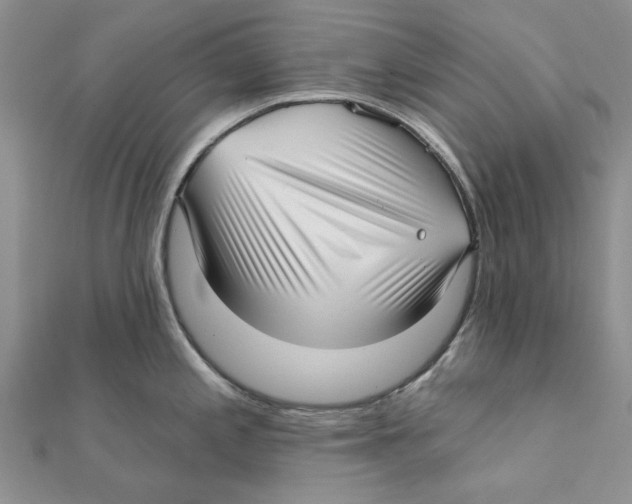 X0000111381197200908071228