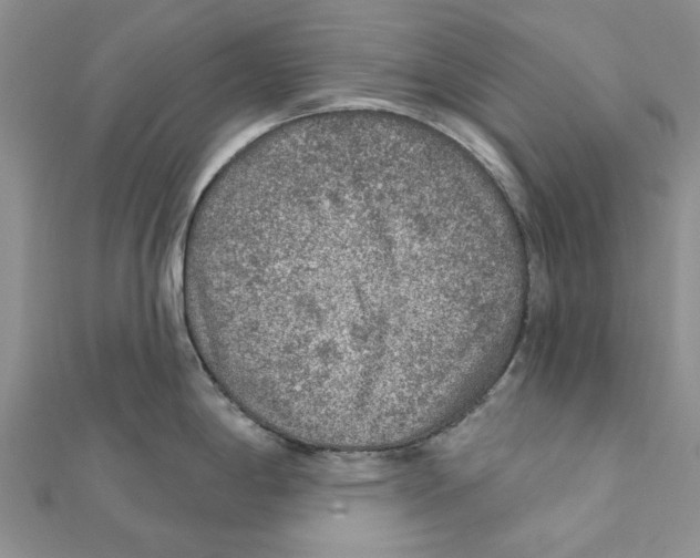 X0000111381198200908071228