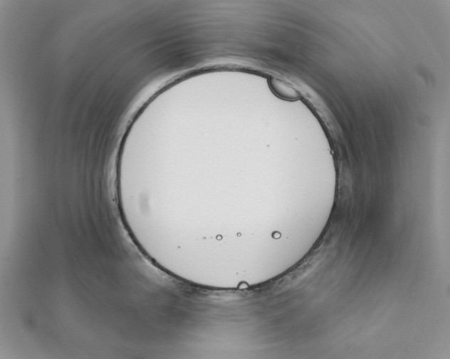 X0000111381199200908071228