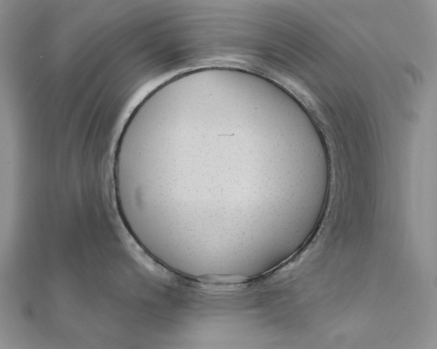 X0000111381200200908071228