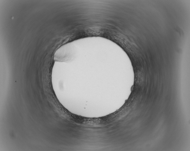 X0000111381201200908071228