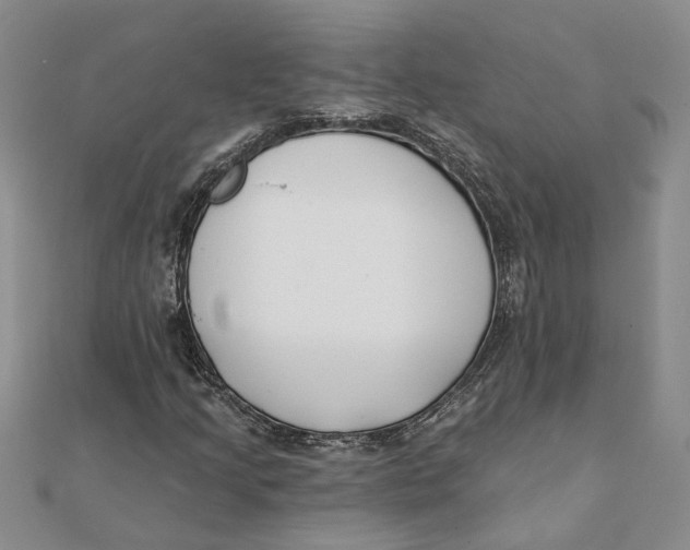 X0000111381205200908071228