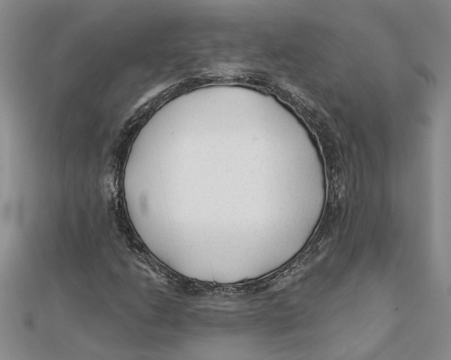 X0000111381206200908071228