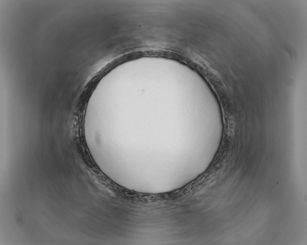 X0000111381208200908071228