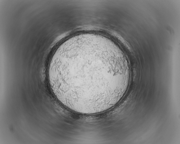 X0000111381213200908071228