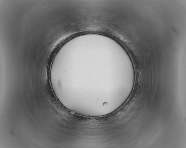 X0000111381214200908071228