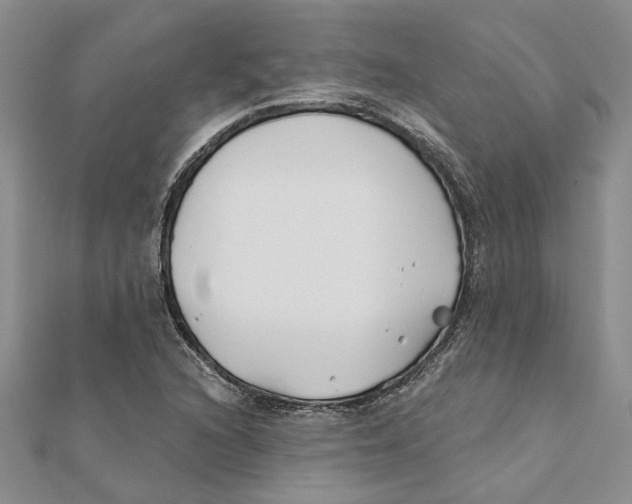 X0000111381216200908071228