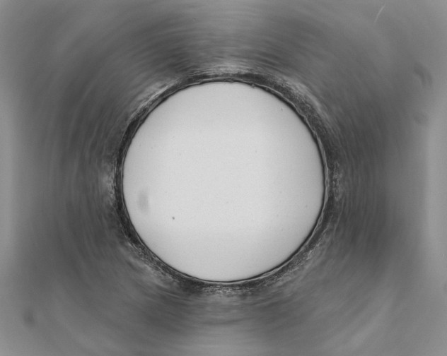 X0000111381217200908071228