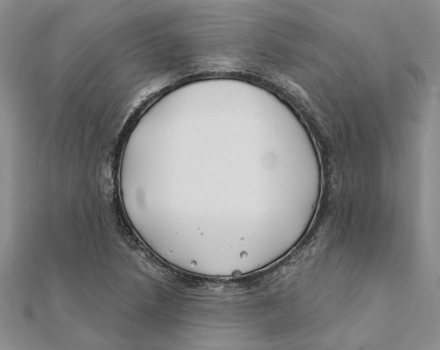 X0000111381218200908071228