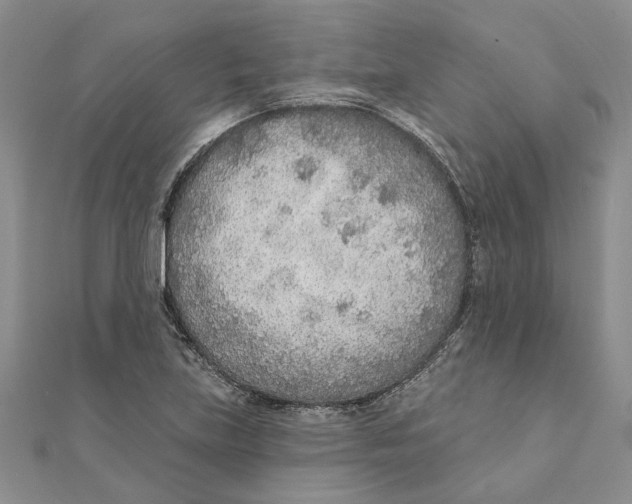 X0000111381219200908071228