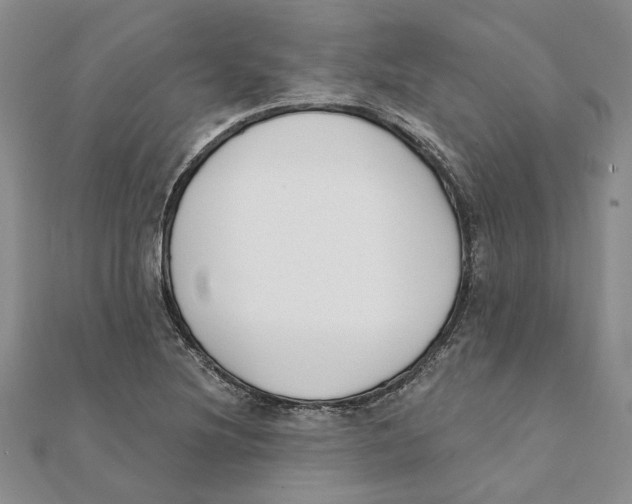 X0000111381220200908071228