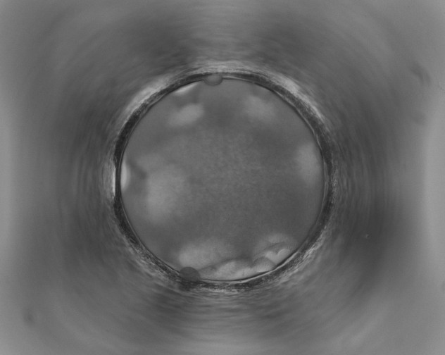 X0000111381221200908071228