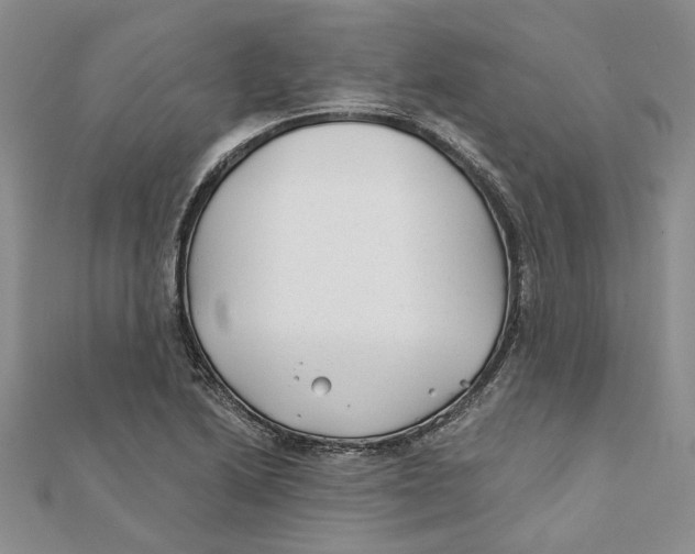 X0000111381222200908071228