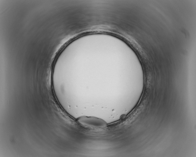 X0000111381224200908071228