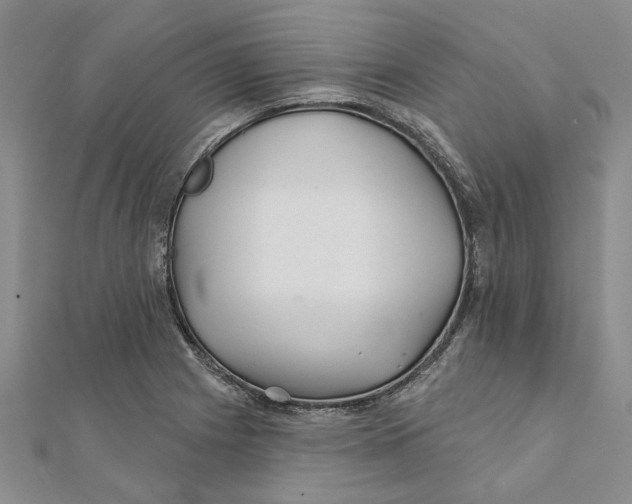 X0000111381225200908071228