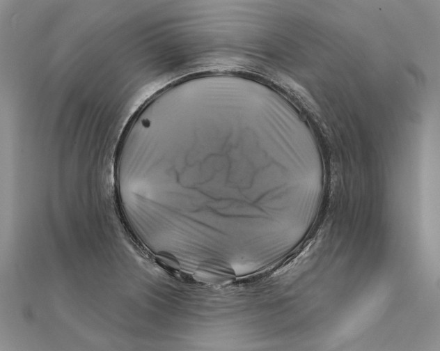 X0000111381226200908071228