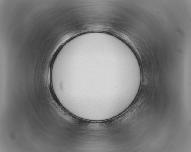 X0000111381227200908071228