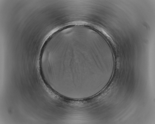 X0000111381229200908071228