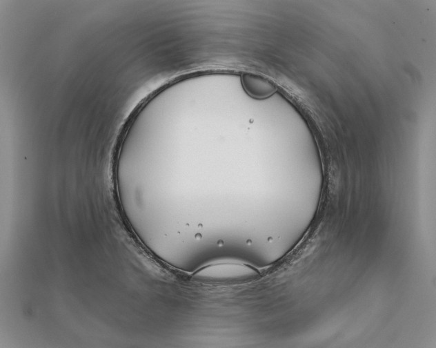 X0000111381230200908071228