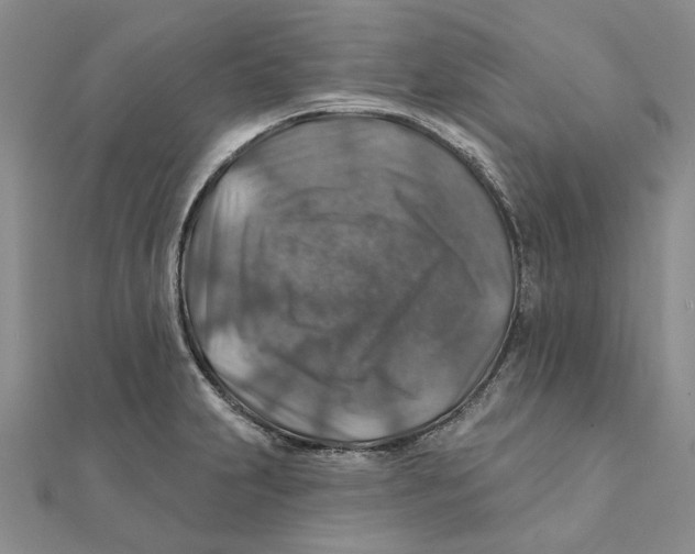 X0000111381231200908071228