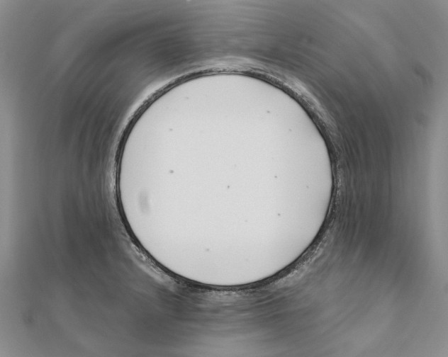 X0000111381232200908071228