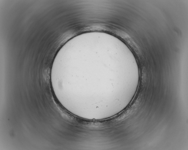 X0000111381233200908071228