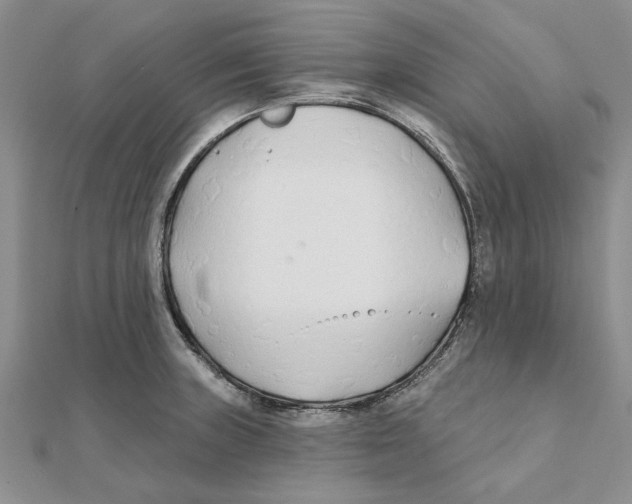 X0000111381235200908071228