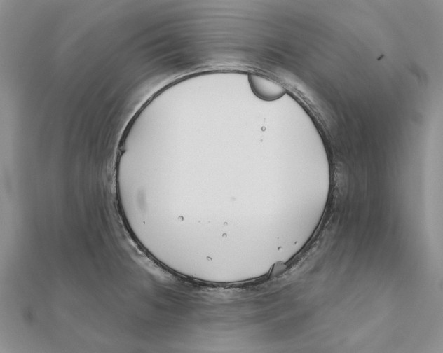 X0000111381236200908071228