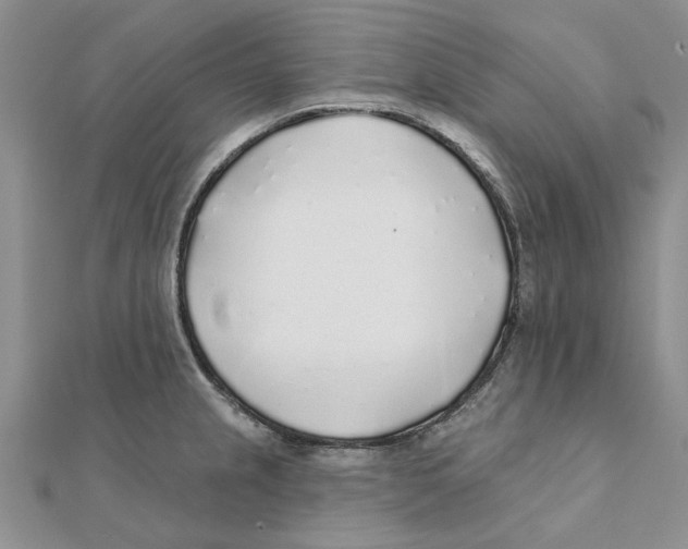 X0000111381237200908071228