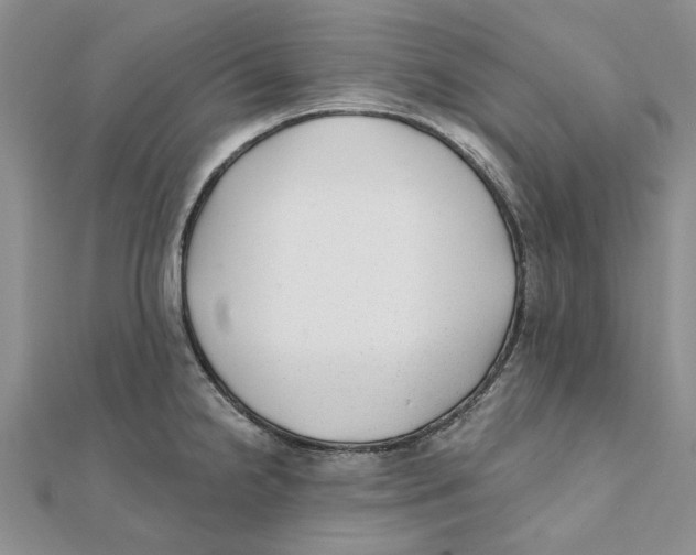 X0000111381238200908071228