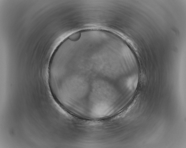 X0000111381239200908071228