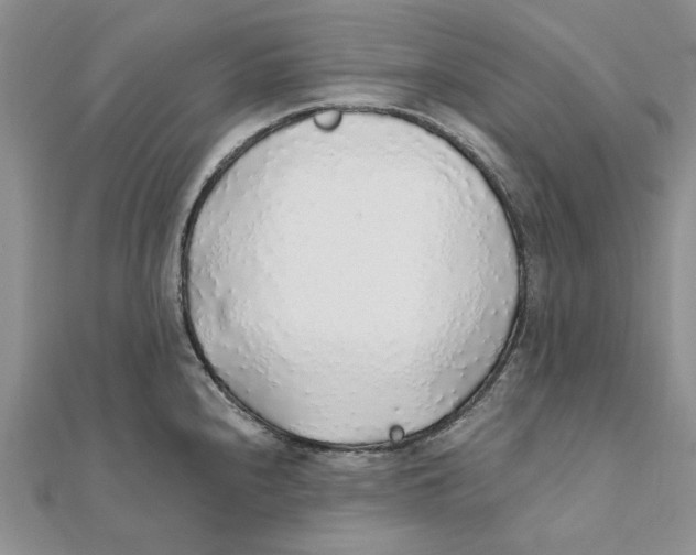 X0000111381240200908071228