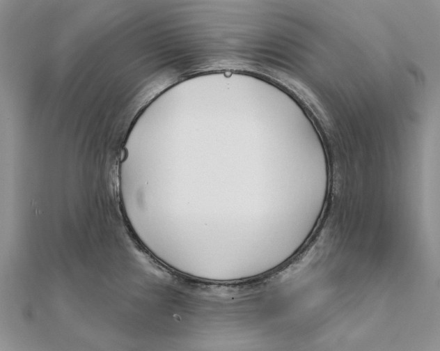 X0000111381241200908071228