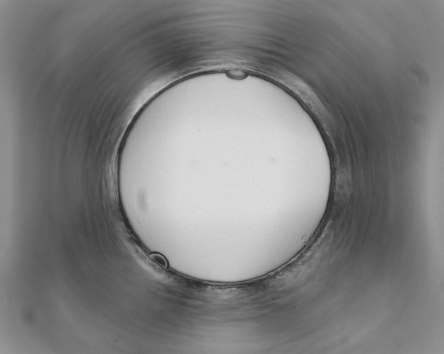 X0000111381242200908071228