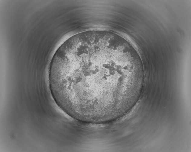 X0000111381243200908071228