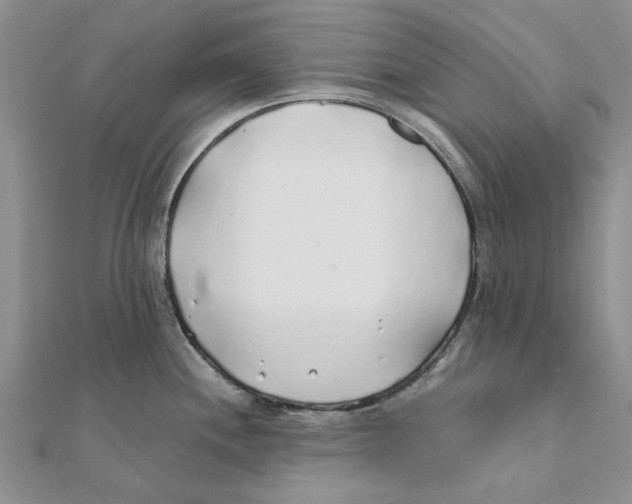 X0000111381244200908071228