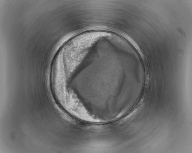 X0000111381245200908071228