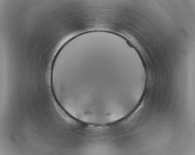 X0000111381246200908071228