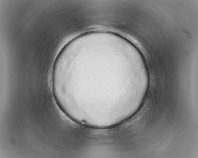 X0000111381247200908071228