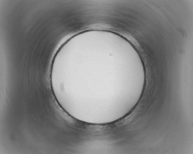 X0000111381248200908071228