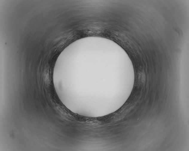 X0000111381250200908071228