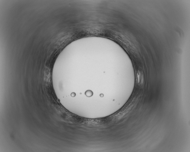 X0000111381251200908071228