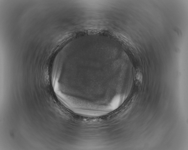 X0000111381252200908071228