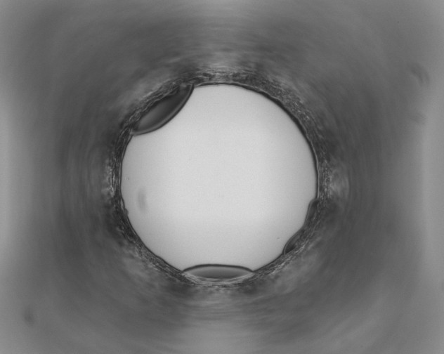 X0000111381253200908071228