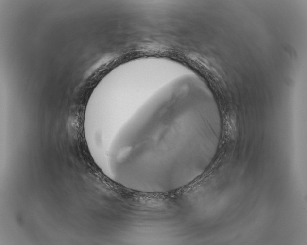 X0000111381254200908071228