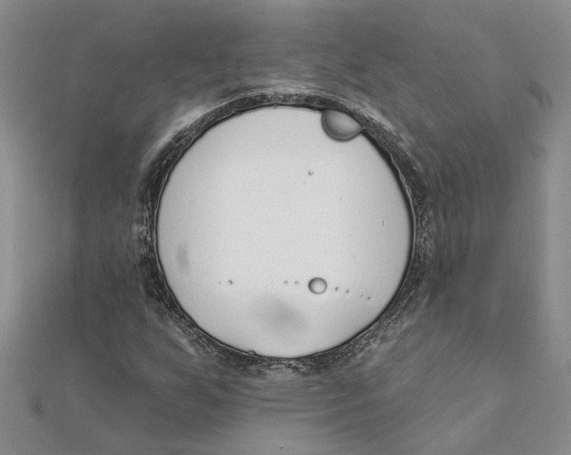 X0000111381255200908071228