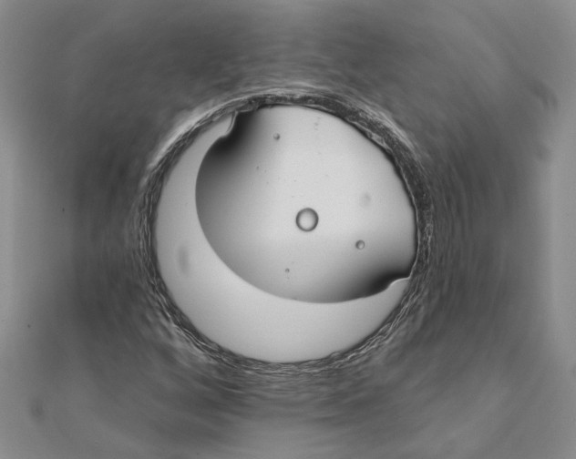 X0000111381256200908071228