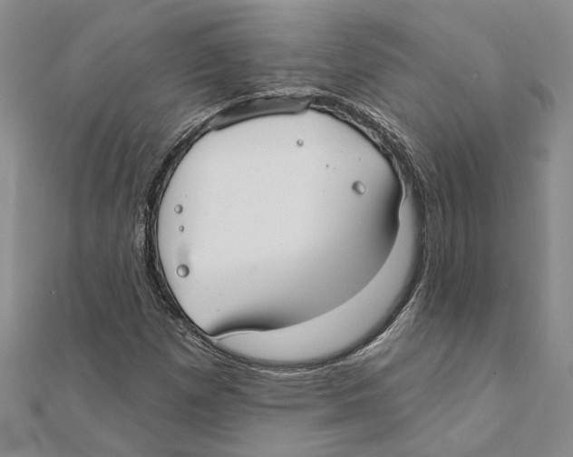 X0000111381257200908071228