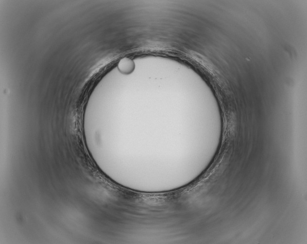 X0000111381258200908071228